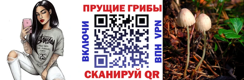 Псилоцибиновые грибы ЛСД  Шлиссельбург 